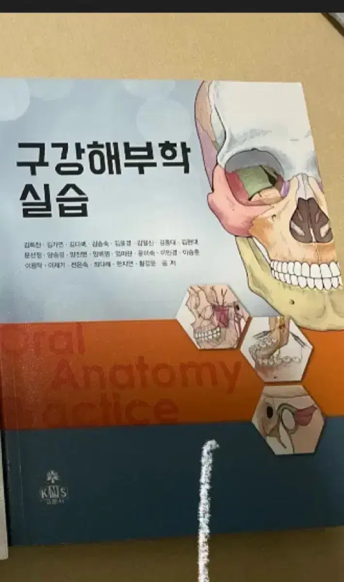 구강해부학 실습 치위생학과 교재 고문사